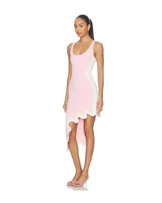 Ph5 Multicolor Aster Reversible Wavy Dress