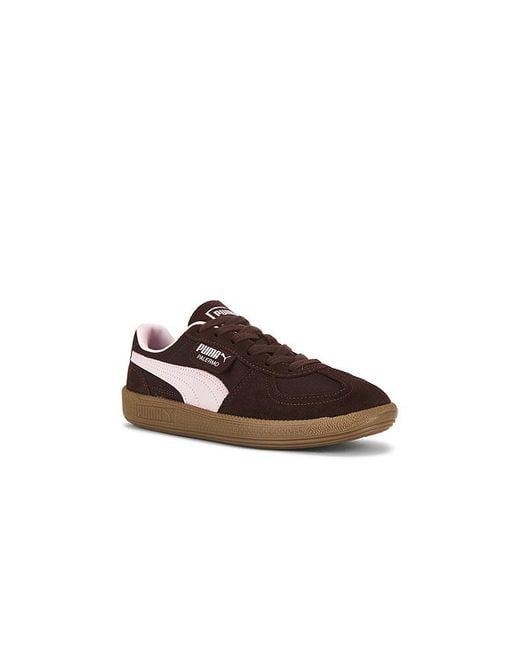 PUMA Brown Palermo Vintage Sneaker