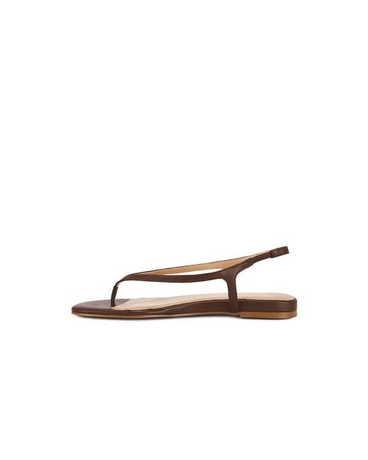 Raye Brown Ayla Sandal
