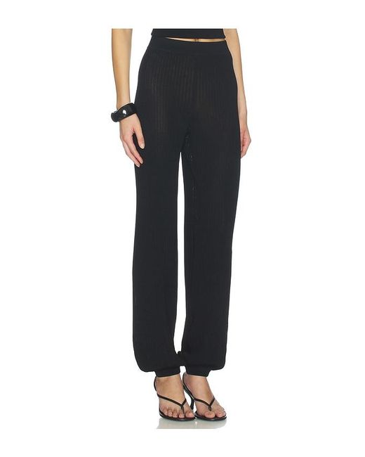 Dodiee Black Willow Pant