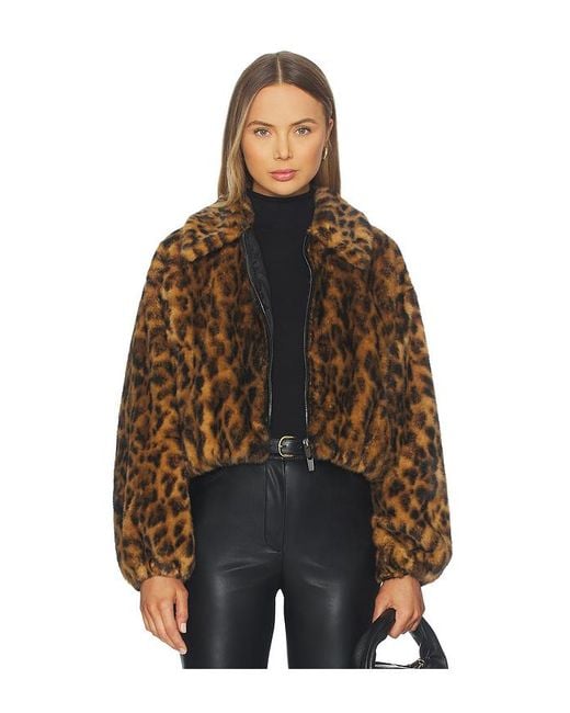 A.L.C. Brown A..C. Jacke Esme