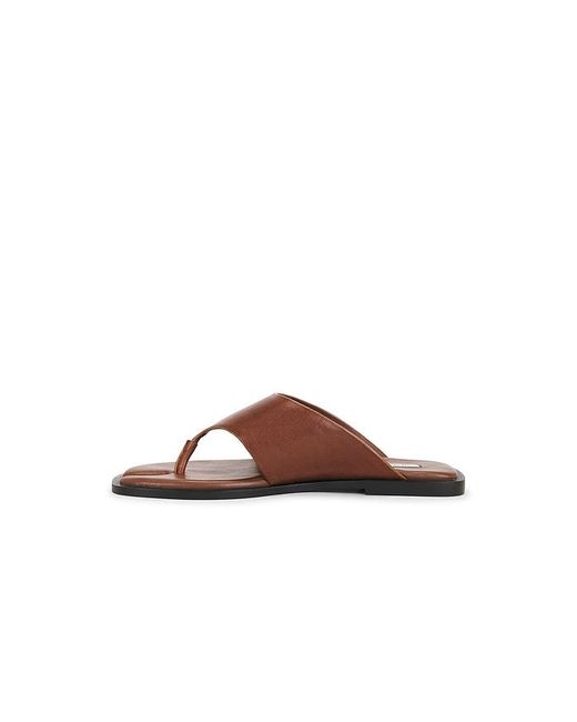 Steve Madden Brown Illia Sandal