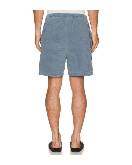Asher Blue Silas Waffle Short for men