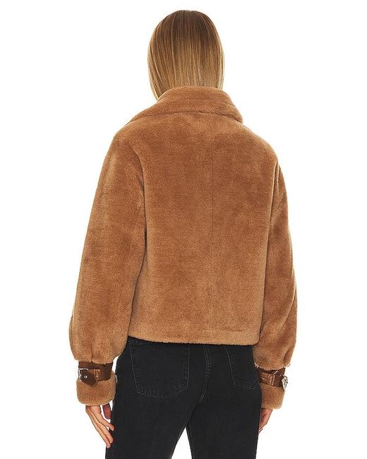 Lamarque Brown Elody Jacket