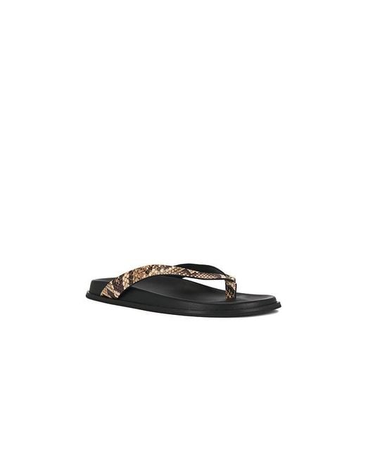 PAIGE Black Zadie Sandal