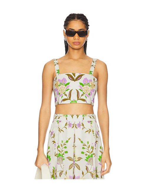 MISA Los Angles Multicolor Lois Top