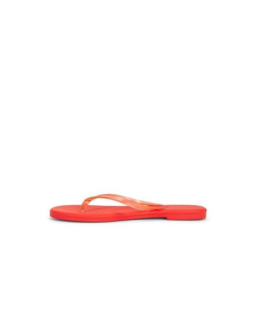 TKEES Red Aqua Flip Flops