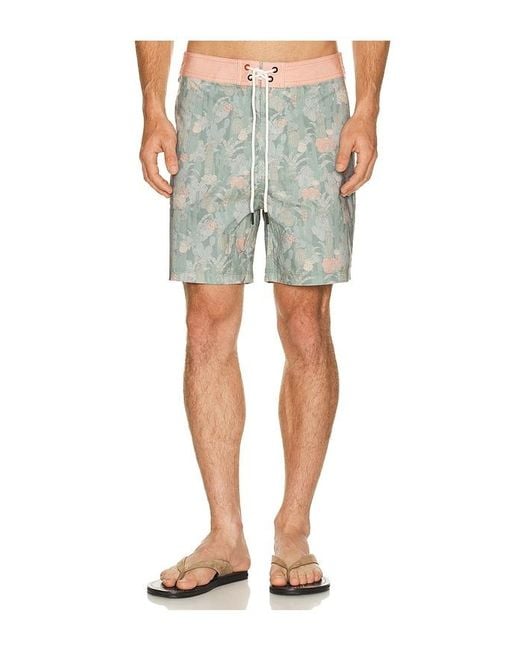 Iron & Resin Blue Cactus Boardshort for men