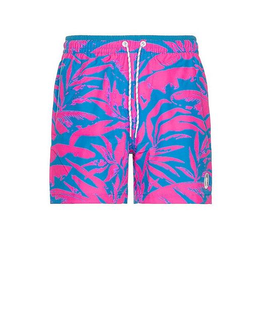 Shorts similar to on sale chubbies