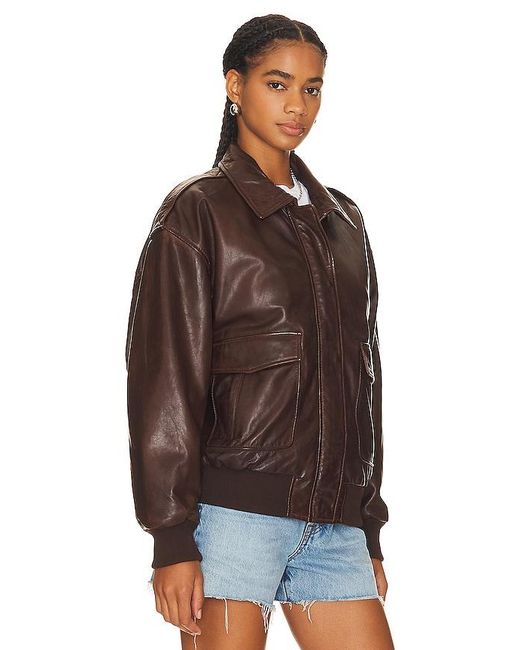Lamarque Brown Tatum Jacket
