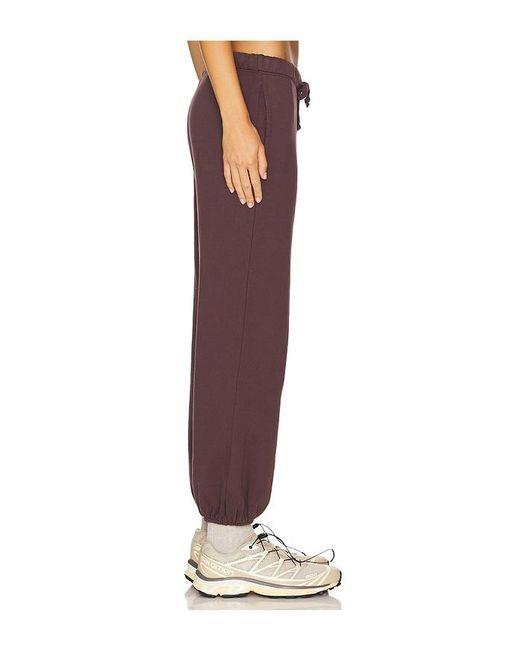 NSF Purple Shane Drawstring Jogger