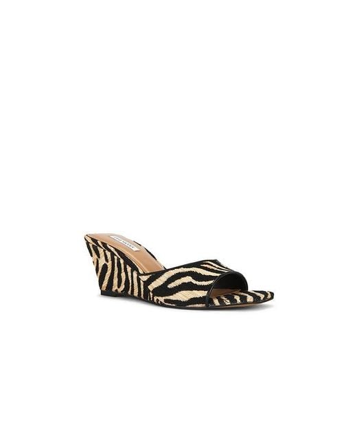 Steve Madden Black Seleste Sandal
