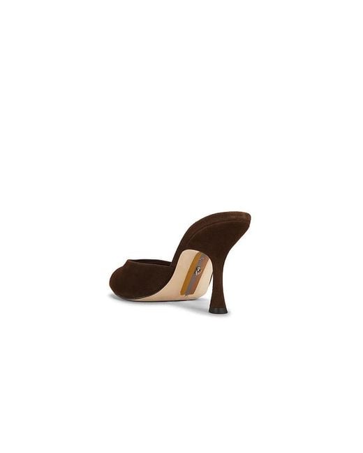 Sam Edelman Brown Jeanie Sandal