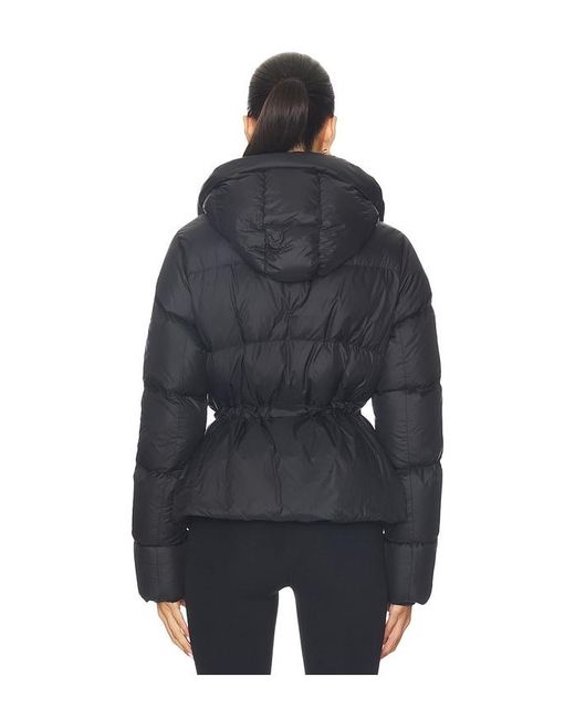 Canada Goose Blue Montgomery Jacket