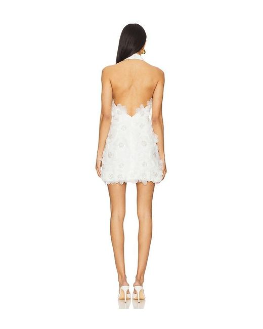 elliatt cherry blossom mini dress Elliatt Cherry Blossom Mini Dress in White