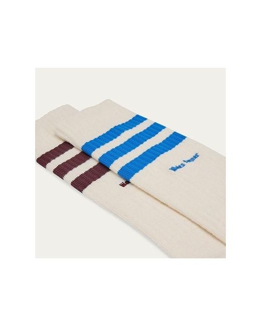 Adidas by Wales Bonner Blue 3S Socks