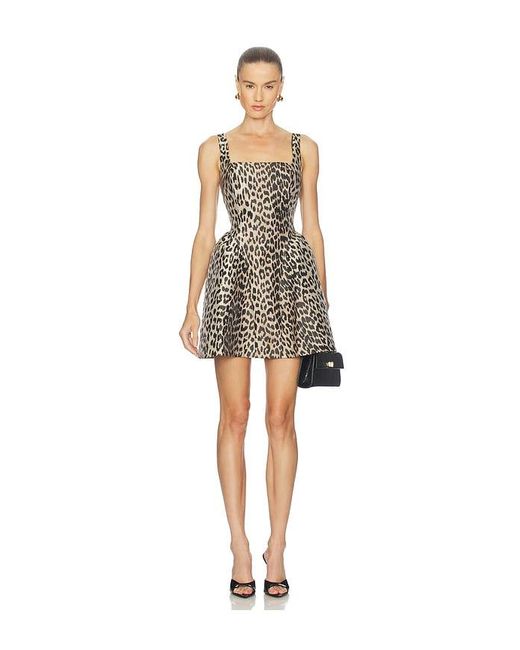 Astr Natural Claudie Dress