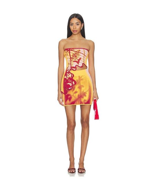 Ph5 Orange Alani Window Print Mini Skirt