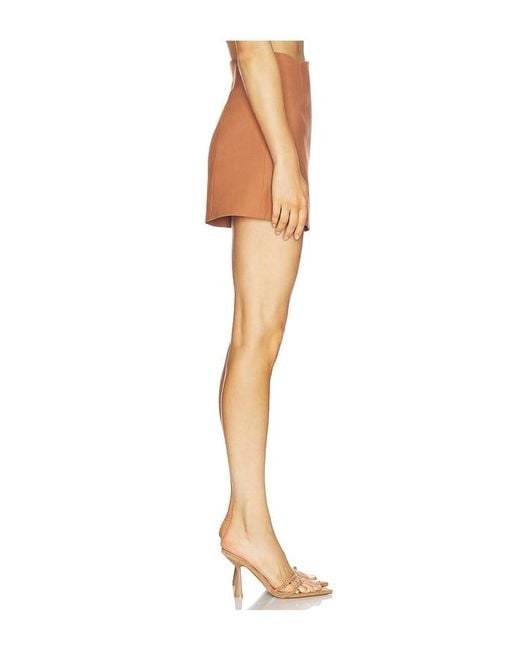 Alexis Multicolor Xander Shorts