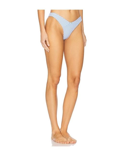 Tularosa Blue Aster Bottom