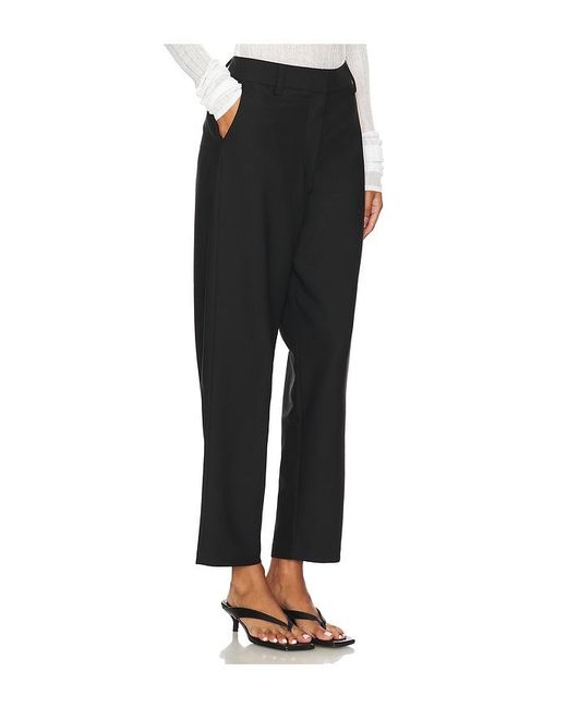 Steve Madden Black Junia Pant