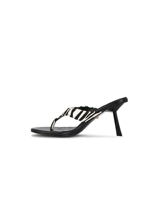 Raye Multicolor Zaho Sandal