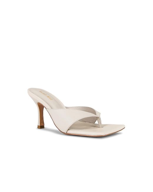 Coach mae deals mule