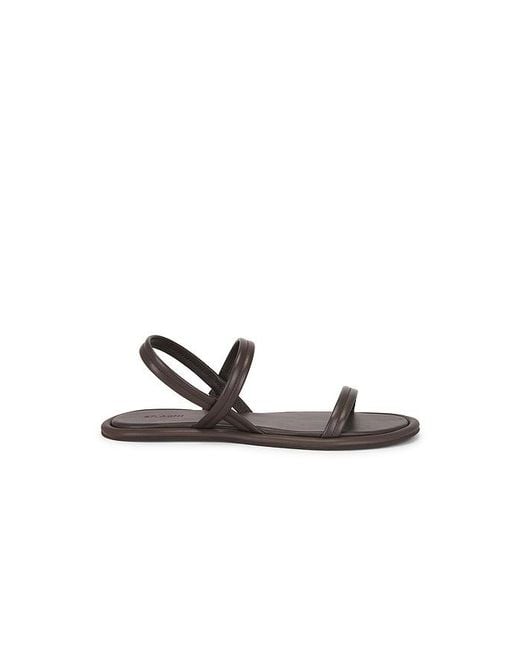 St. Agni Black Fine Strap Sandal