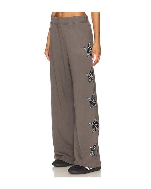 Lauren Moshi Brown Horse Wide Leg Pant