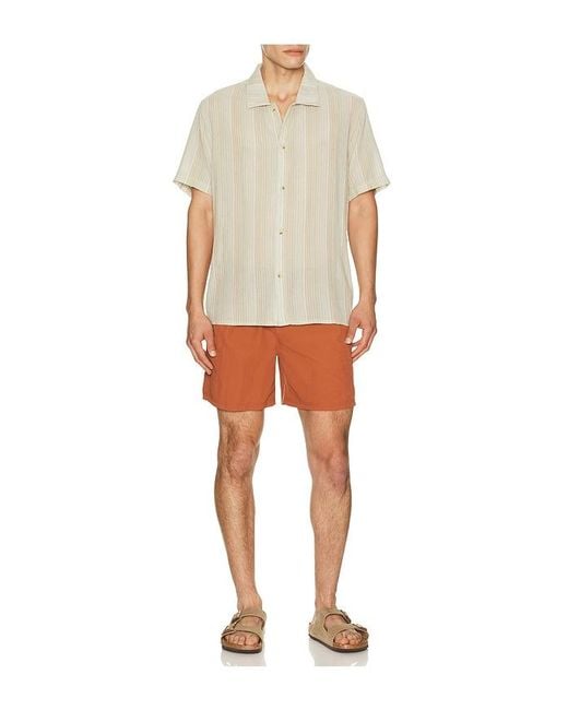 Rhythm Multicolor Nurture Shirt for men
