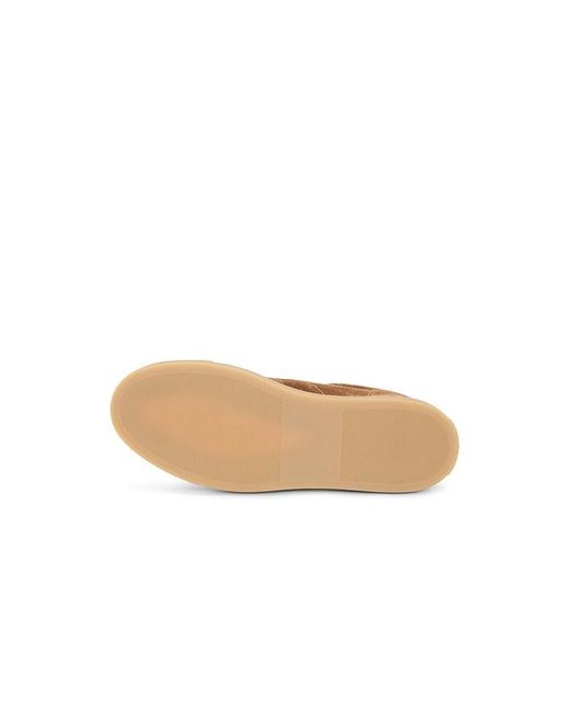 Common Projects Brown Sneakers Field