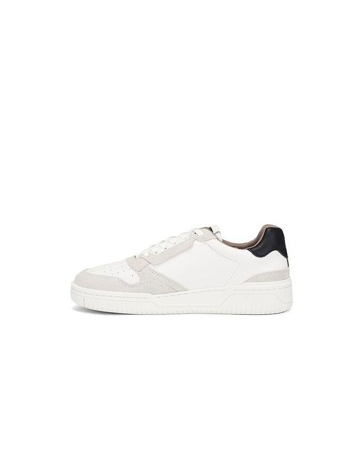 AllSaints White Regan Low Top for men
