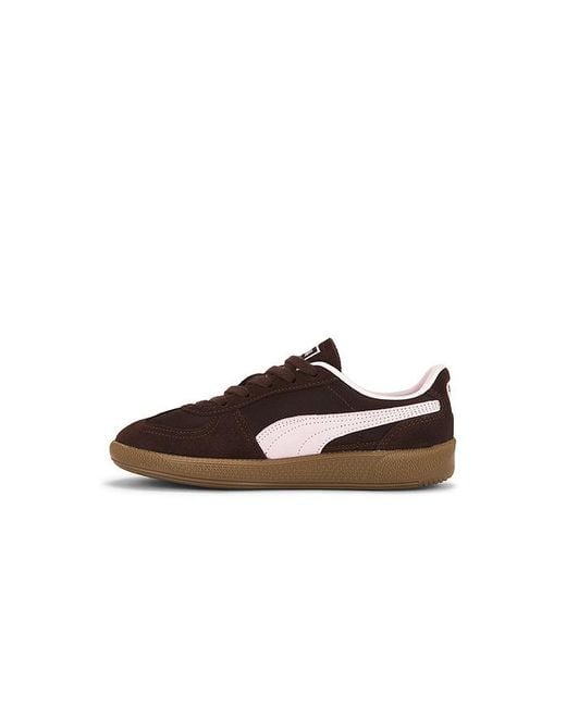 PUMA Brown Palermo Vintage Sneaker