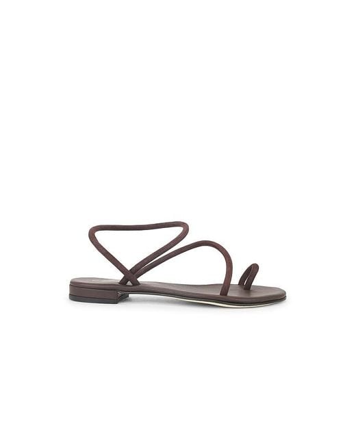Cornetti Multicolor Romelide Sandal