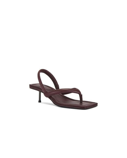 St. Agni Purple Thong Heel