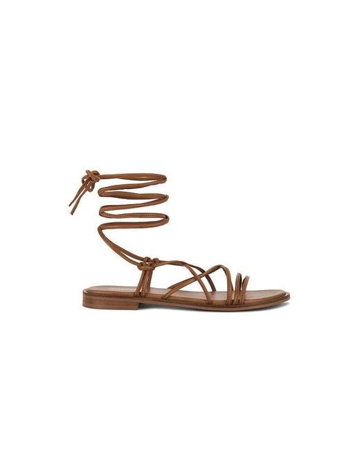 Seychelles Multicolor Lighthouse Sandal