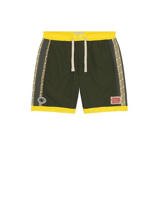 Critical Slide Boardshorts in Green für Herren