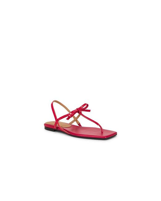 Flattered Red Sandale Sina