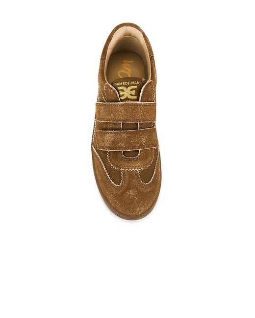 Sam Edelman Brown Talia Sneaker