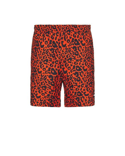 Pleasures Red Leopard Active Shorts for men