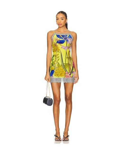 Muma World Yellow X Revolve