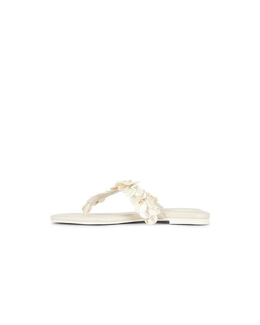 Jonathan Simkhai White Elin Natural Shell Beaded Thong Sandal