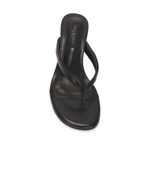 Tony Bianco Black Edgy Sandal