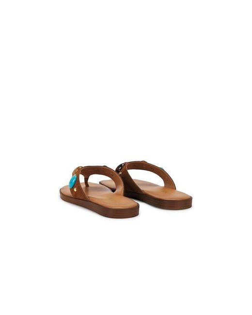 Seychelles Brown Top Of The World Sandal
