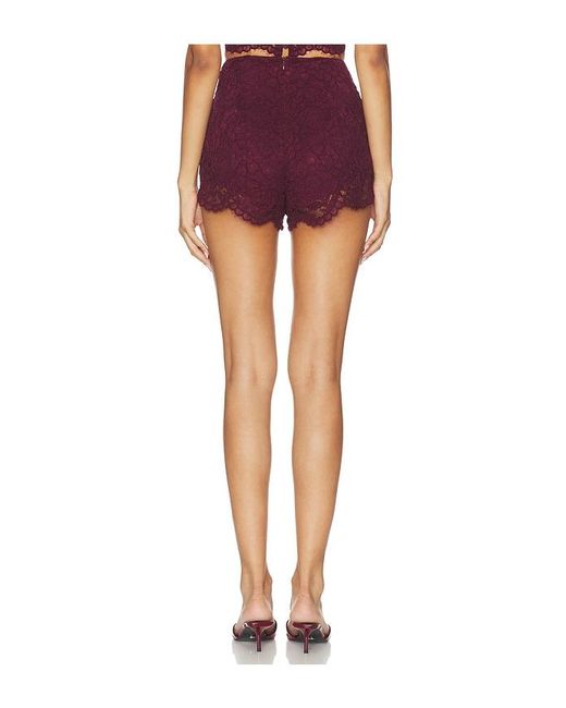 Amanda Uprichard Multicolor X Revolve Brynley Shorts