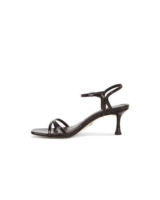 Sam Edelman Brown Presley Sandal