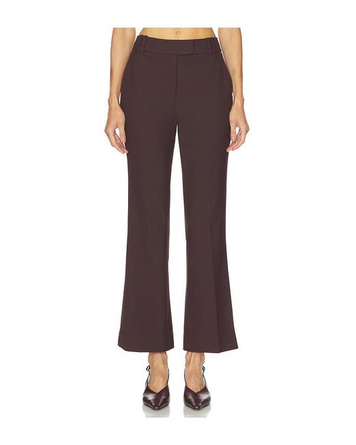 Camila Coelho Multicolor Hose Noeme