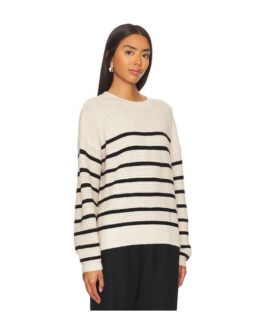 Sanctuary Multicolor Strick Warmer Days