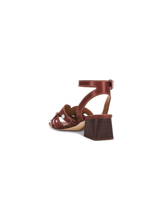 Sam Edelman Brown Wayla 2 Sandal