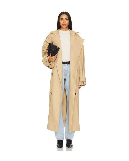 Dr. Denim Blue Arch Straight Leg Jeans
